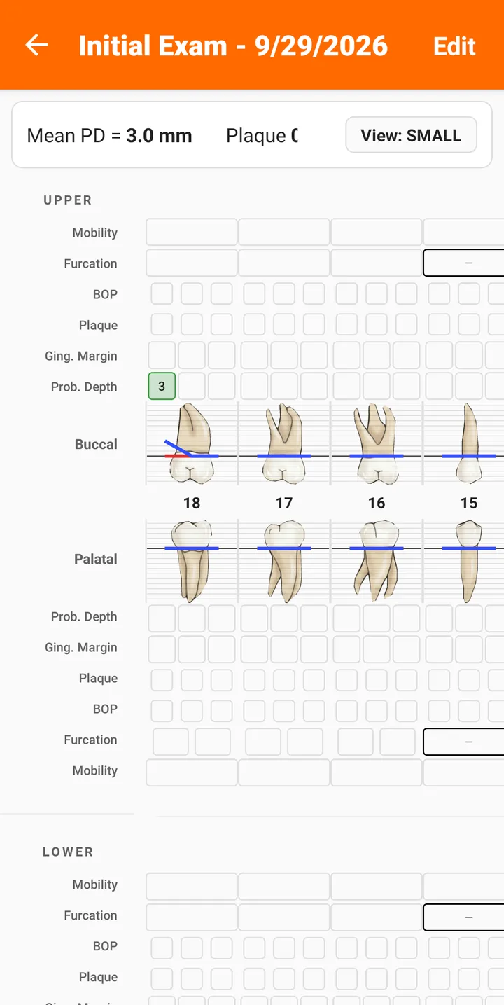 Saved periodontal chart with the Edit button